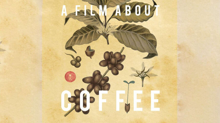 Фильм о кофе – A Film About Coffee (2014), русские субтитры