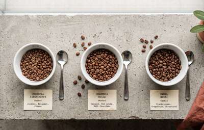 Моносорт кофе или бленд: что такое single origin и что выбрать