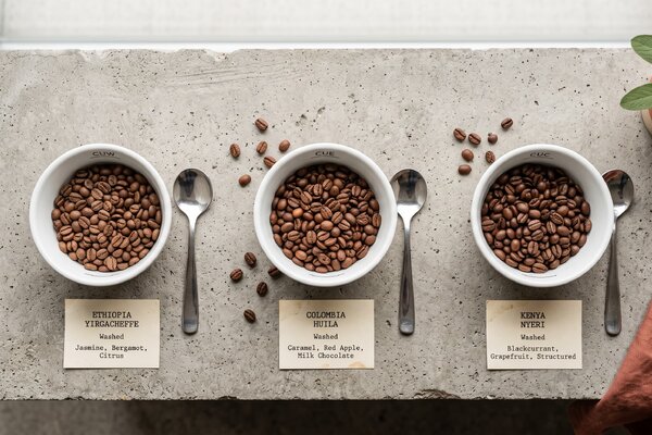 Моносорт кофе или бленд: что такое single origin и что выбрать