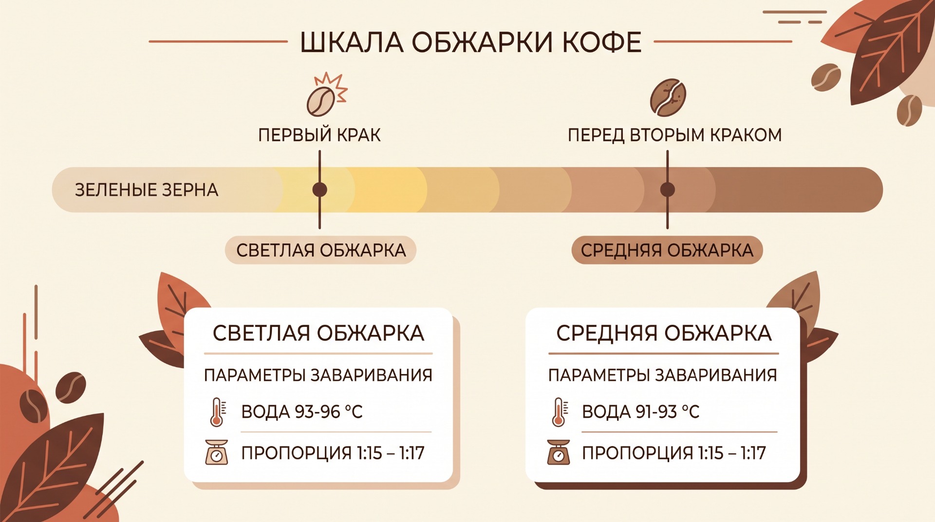 Светлая обжарка кофе против средней: в чём разница, как заваривать